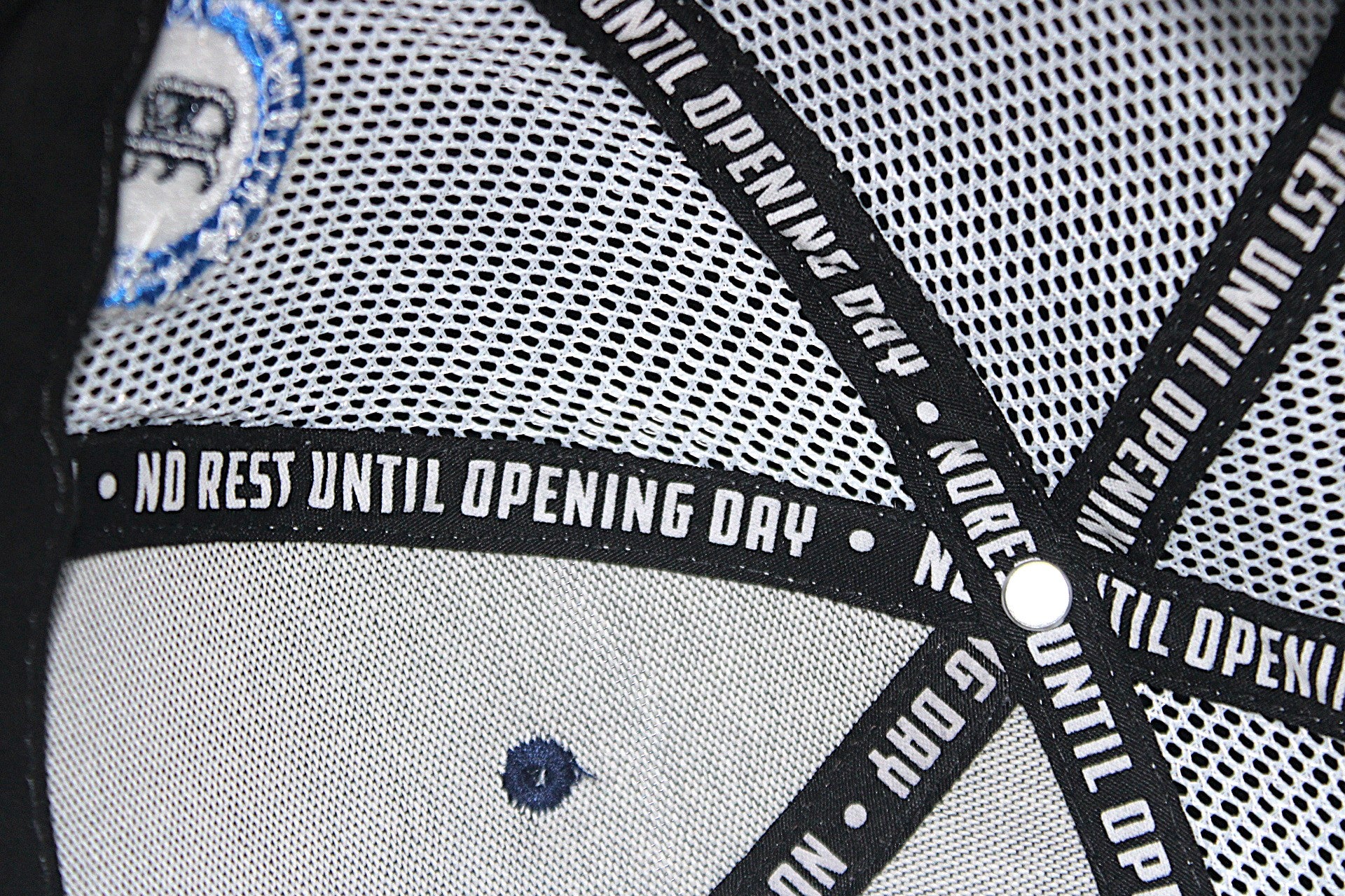 Close-up of baseball cap interior 